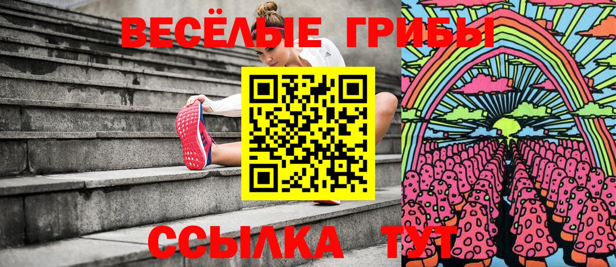Галлюциногенные грибы GOLDEN TEACHER Дедовск